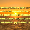 Путешествие в прошлое: исследование происхождения и значения фамилии Махалкина и правильное склонение в современном русском языке