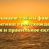 Раскрываем тайны фамилии Каныгина: происхождение, история и правильное склонение