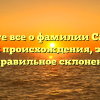 Узнайте все о фамилии Сашина: история происхождения, значение и правильное склонение