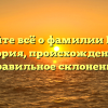 Узнайте всё о фамилии Гудзь: история, происхождение и правильное склонение