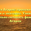 Фамилия Агарок: происхождение, история и значение. Узнайте как правильно склонять фамилию Агарок