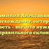 Фамилия Алексанянц: происхождение, история и значимость – все, что нужно знать для правильного склонения