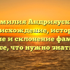 Фамилия Андрияускас: происхождение, история, значение и склонение фамилии — все, что нужно знать!