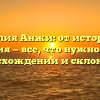 Фамилия Анжи: от истории до значения — все, что нужно знать о происхождении и склонении