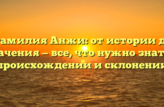 Фамилия Анжи: от истории до значения — все, что нужно знать о происхождении и склонении