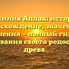 Фамилия Аппак: история, происхождение, значения и склонения — полный гид для исследования своего родословного древа