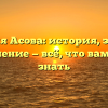 Фамилия Асова: история, значение и склонение — всё, что вам нужно знать