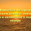 Фамилия Астерин: происхождение и значение, история и склонение в подробном обзоре