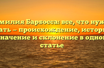 Фамилия Барбосса: все, что нужно знать — происхождение, история, значение и склонение в одной статье