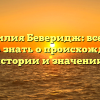 Фамилия Беверидж: все, что нужно знать о происхождении, истории и значении!