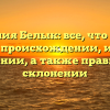 Фамилия Белык: все, что нужно знать о происхождении, истории и значении, а также правильном склонении