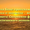 Фамилия Бихе: происхождение, история и значение — все, что нужно знать! Склонение фамилии для практического использования.