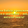 Фамилия Бойса: происхождение, история и значение — всё, что вы хотели знать!