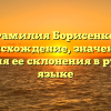 Фамилия Борисенко: происхождение, значение и история ее склонения в русском языке