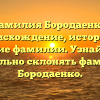 Фамилия Бородаенко: происхождение, история и значение фамилии. Узнайте, как правильно склонять фамилию Бородаенко.