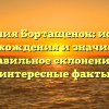 Фамилия Бортащенок: история происхождения и значимость, правильное склонение и интересные факты
