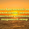 Фамилия Брусянский: история происхождения, значения и правильное склонение — подробный обзор