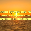 Фамилия Бузова: все, что вы хотели знать о происхождении, значении и склонении