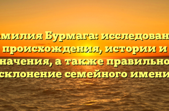 Фамилия Бурмага: исследование происхождения, истории и значения, а также правильное склонение семейного имени