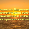 Фамилия Вавринюк: исторический обзор происхождения и значения, а также правила склонения.