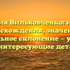 Фамилия Вильховченко: история происхождения, значение и правильное склонение — узнайте все интересующие детали!