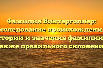 Фамилия Винтерголлер: исследование происхождения, истории и значения фамилии, а также правильного склонения