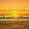 Фамилия Вислоцкий: история происхождения, значение и склонение фамилии — полный гид для исследования своих корней