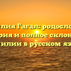 Фамилия Гагал: родословная, история и полное склонение фамилии в русском языке