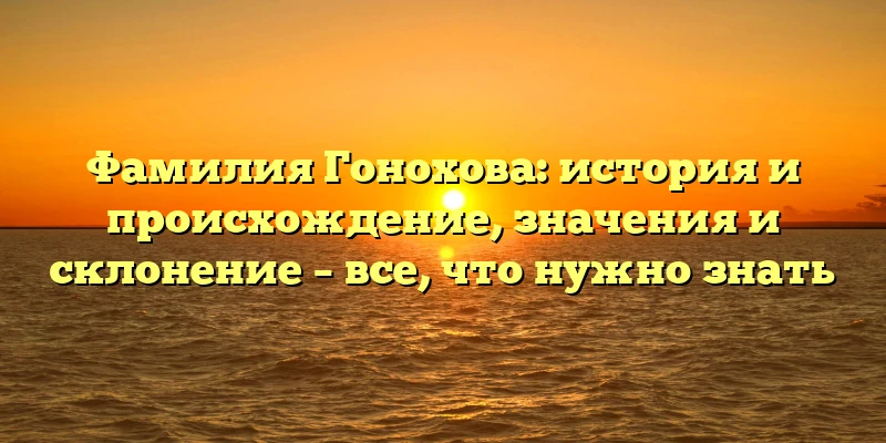 Фамилия Гонохова: история и происхождение, значения и склонение – все, что нужно знать Фамилия Гонохова: история и происхождение, значения и склонение – все, что нужно знать