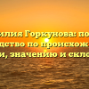 Фамилия Горкунова: полное руководство по происхождению, истории, значению и склонению!