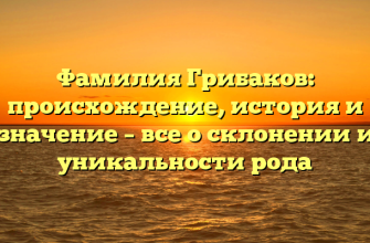 Фамилия Грибаков: происхождение, история и значение – все о склонении и уникальности рода