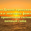 Фамилия Деник: происхождение, история и значение фамилии, а также правильное склонение — полный гайд