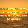 Фамилия Додул: исследуем происхождение, историю, значение и склонение этой фамилии