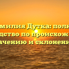 Фамилия Дутка: полное руководство по происхождению, значению и склонению!