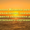 Фамилия Живило: история происхождения, значения и правила склонения для детального изучения.