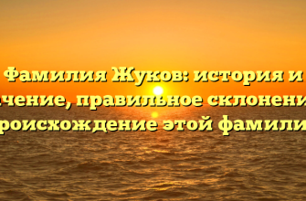 Фамилия Жуков: история и значение, правильное склонение и происхождение этой фамилии