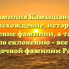 Фамилия Камышанов: происхождение, история и значение фамилии, а также советы по склонению – все о самой загадочной фамилии России