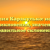 Фамилия Каракулько: история возникновения, значение и правильное склонение