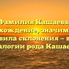 Фамилия Кашаева: происхождение, значимость и правила склонения — всё о генеалогии рода Кашаевых.