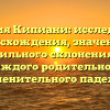 Фамилия Кипиани: исследование происхождения, значения и правильного склонения для каждого родительного именительного падежа