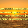 Фамилия Коваленок: исследование происхождения, истории и значимости фамилии вместе со склонением