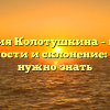Фамилия Колотушкина – истоки, особенности и склонение: все, что нужно знать