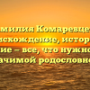 Фамилия Комаревцева: происхождение, история и склонение — все, что нужно знать о значимой родословной!