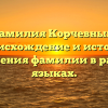 Фамилия Корчевный: происхождение и история склонения фамилии в разных языках.
