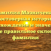 Фамилия Мазниченко: достоверная история происхождения и значение, а также правильное склонение фамилии