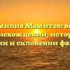 Фамилия Мамитов: всё о происхождении, истории, значении и склонении фамилии!