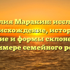 Фамилия Маракин: исследуем происхождение, историю, значение и формы склонения на примере семейного рода