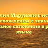 Фамилия Маруневич: история происхождения и значения, правильное склонение в русском языке