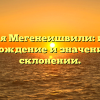 Фамилия Мегенеишвили: история, происхождение и значение, все о склонении.