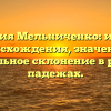 Фамилия Мельниченко: история происхождения, значение и правильное склонение в разных падежах.